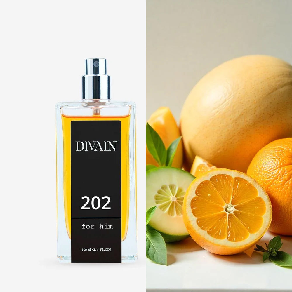 Divain-202 | Man