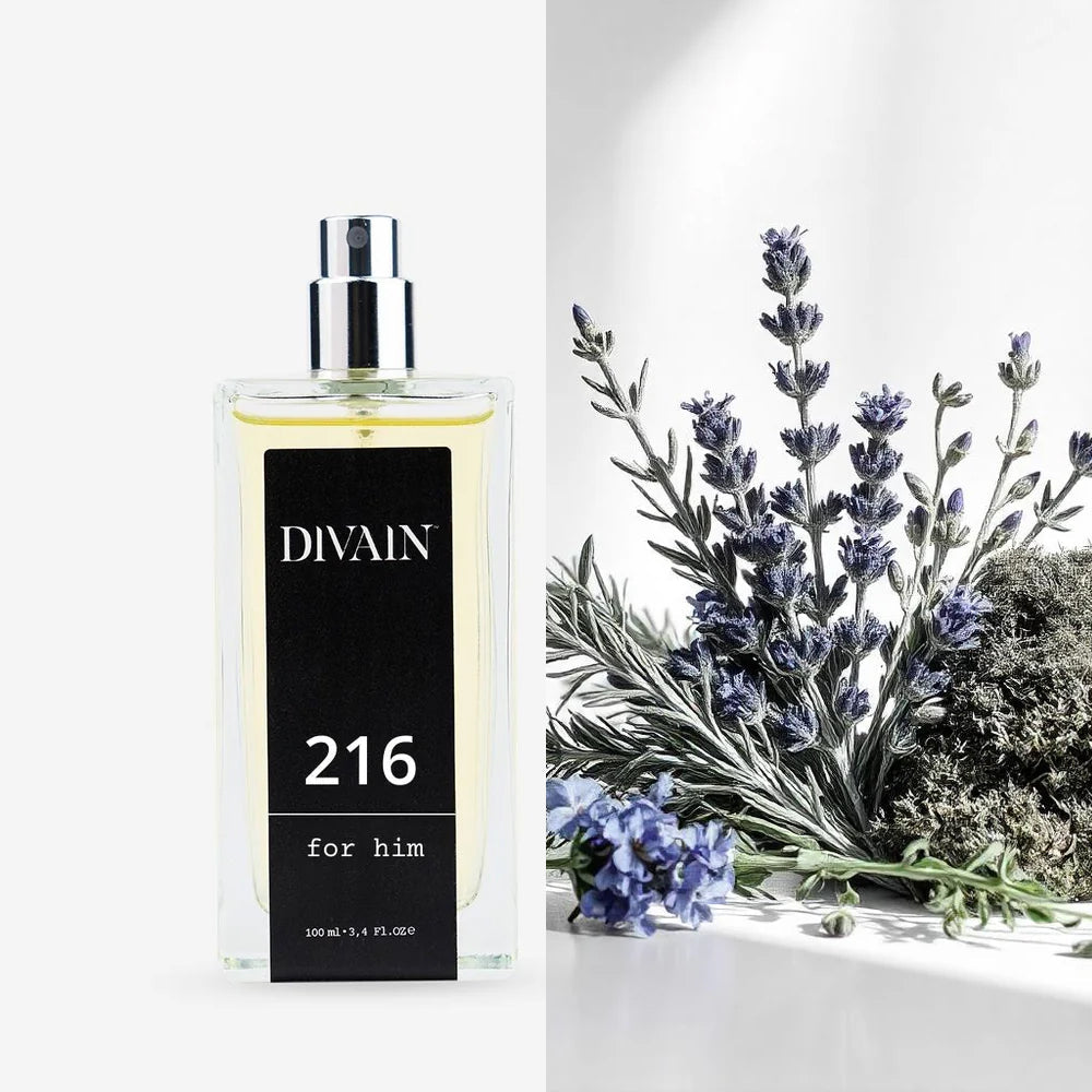 Divain-216 | Man