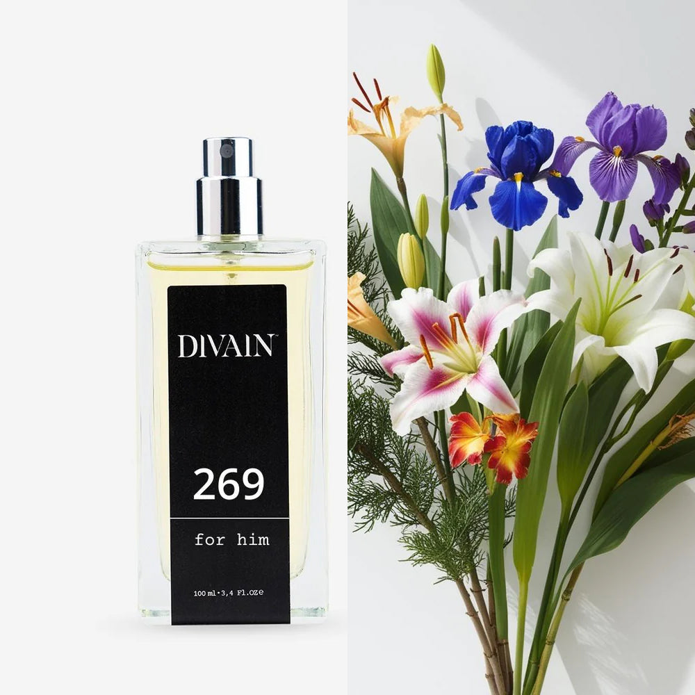 Divain-269 | Man