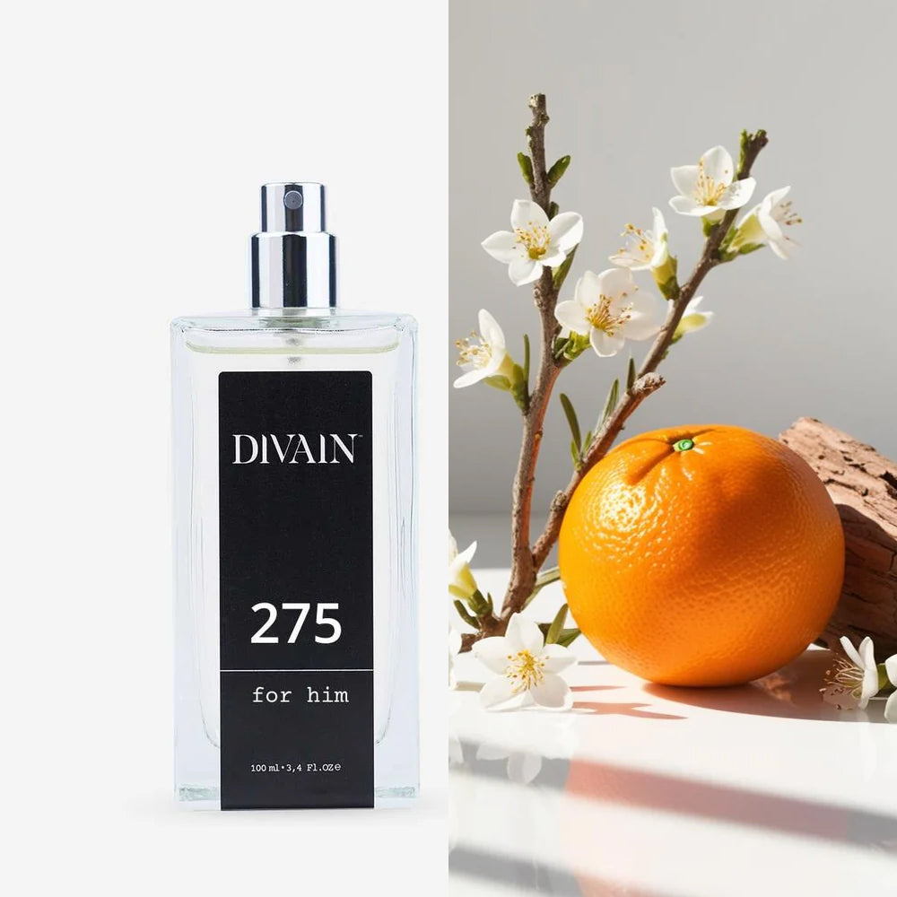 Divain-275 | Man