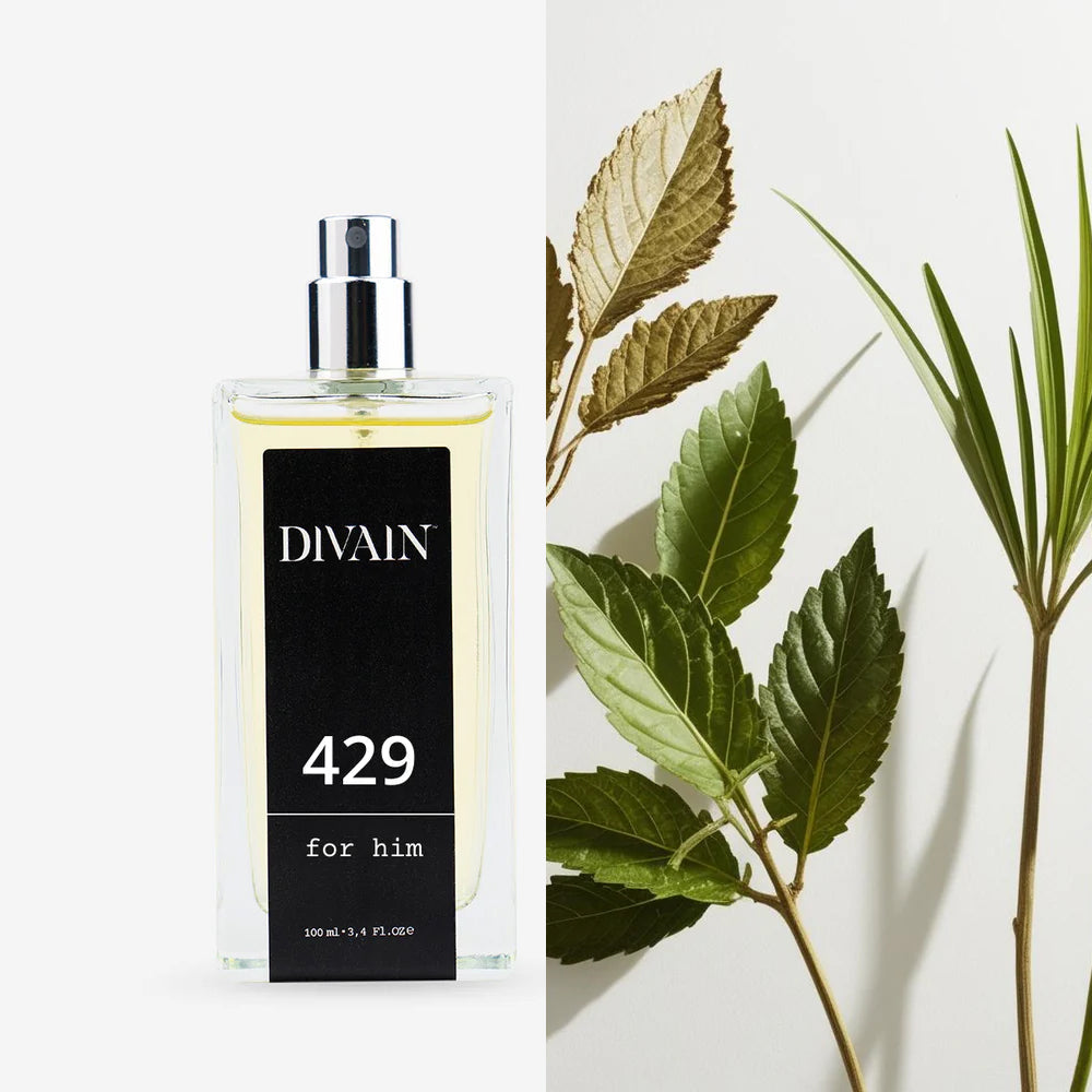 Divain-429 | MAN